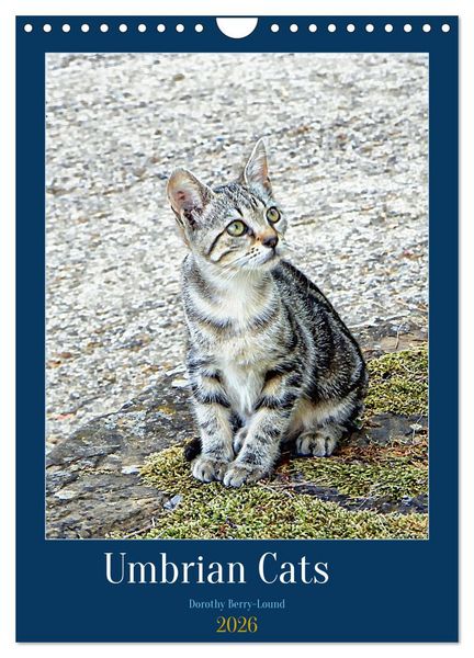 Produktbild: Umbrian Cats (Wall Calendar 2026 DIN A4 portrait), CALVENDO 12 Month Wall Calendar