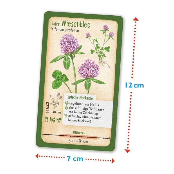 Produktbild: Tour durch die Natur - 50 heimische Pflanzen - Wald & Wiese
