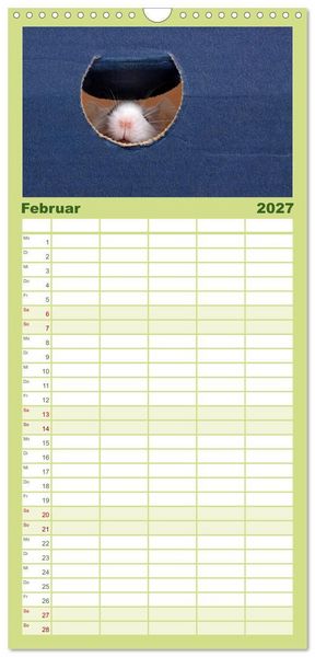Produktbild: Familienplaner 2027 - S&uuml;&szlig;e M&auml;use und Coole Ratten mit 5 Spalten (Wandkalender, 21 x 45 cm) CALVENDO
