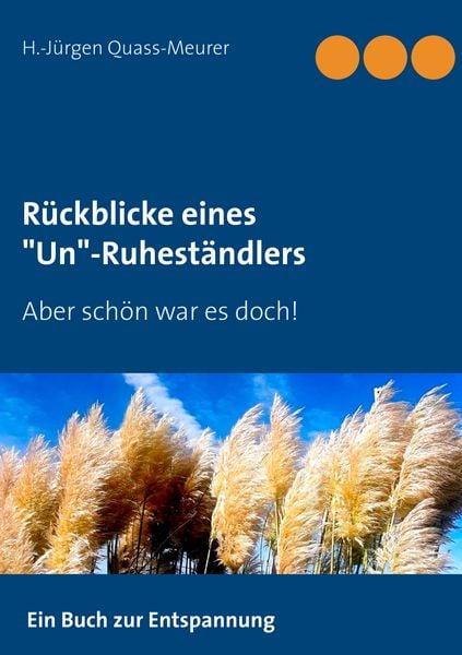 Produktbild: R&uuml;ckblicke eines "Un"-Ruhest&auml;ndlers