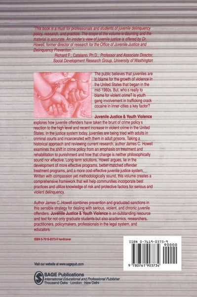 Produktbild: Juvenile Justice and Youth Violence