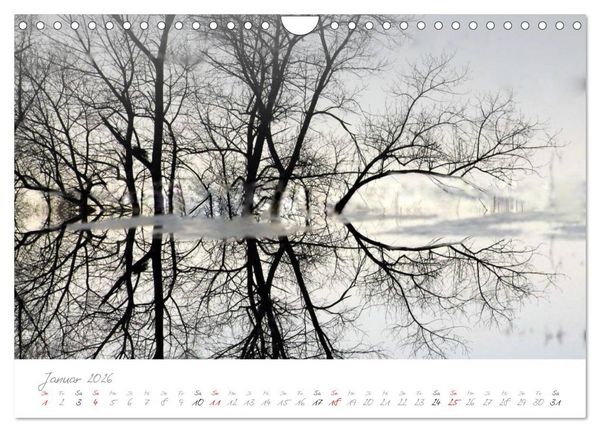 Produktbild: Teufelsmoor Impressionen (Wandkalender 2026 DIN A4 quer), CALVENDO Monatskalender