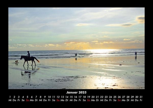 Produktbild: Pferde Kalender 2025 Fotokalender DIN A3