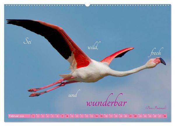 Produktbild: The Power Of Pink (hochwertiger Premium Wandkalender 2026 DIN A2 quer), Kunstdruck in Hochglanz