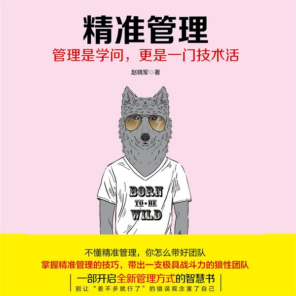 精准管理 - 赵晓军, Audio, 4069828682719