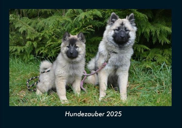 Produktbild: Hundezauber 2025 Fotokalender DIN A4