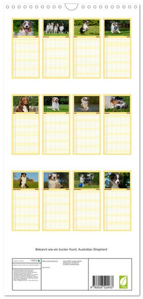 Produktbild: Familienplaner 2026 - Bekannt wie ein bunter Hund. Australian Shepherd mit 5 Spalten (Wandkalender, 21 x 45 cm) CALVENDO