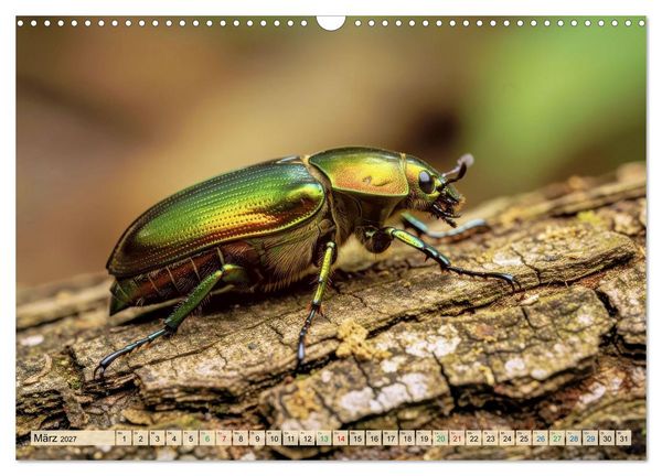 Produktbild: Die buntesten Tiere - Weltweit (Wandkalender 2027 DIN A3 quer), CALVENDO Monatskalender