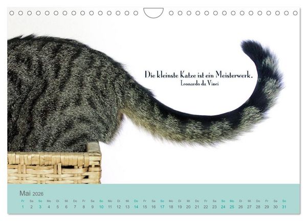 Produktbild: Katzenzitate 2026 (Wandkalender 2026 DIN A4 quer), CALVENDO Monatskalender