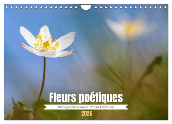 Produktbild: Fleurs po&eacute;tiques (Calendrier mural 2026 DIN A4 vertical), CALVENDO calendrier mensuel