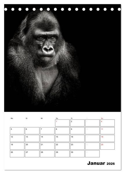 Produktbild: Charakterk&ouml;pfe aus der Welt der Tiere (Tischkalender 2026 DIN A5 hoch), CALVENDO Monatskalender