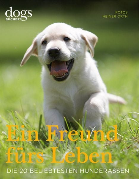 Produktbild: DOGS. Ein Freund f&uuml;rs Leben