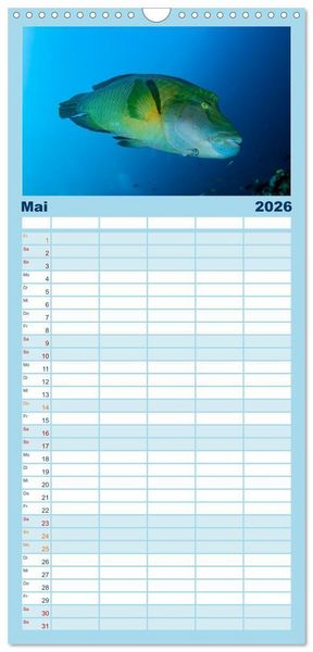 Produktbild: Familienplaner 2026 - Faszinierende Meereswelt der Malediven mit 5 Spalten (Wandkalender, 21 x 45 cm) CALVENDO