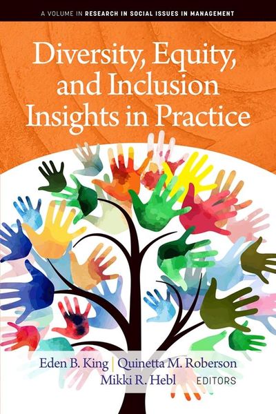 Produktbild: Diversity, Equity, and Inclusion Insights in Practice