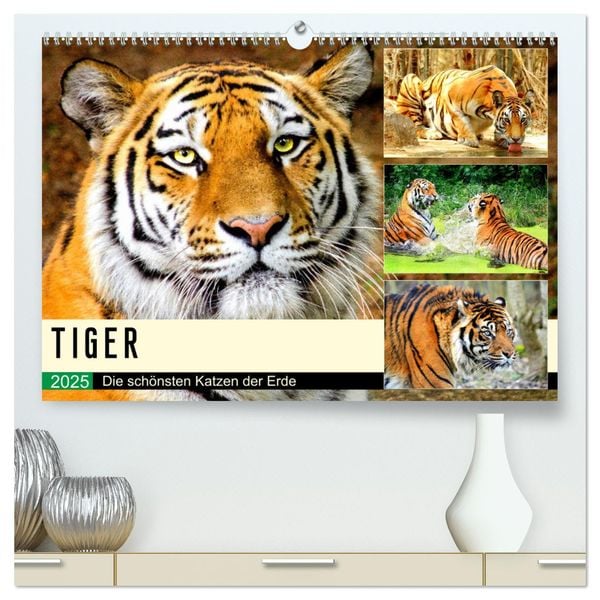 Tiger. Die schönsten Katzen der Erde (hochwertiger Premium Wandkalender 2025 DIN A2 quer), Kunstdruck in Hochglanz