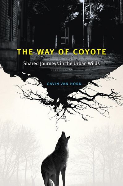 Produktbild: The Way of Coyote