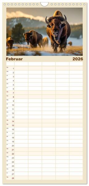 Produktbild: Familienplaner 2026 - B&uuml;ffel - Ikonen der Wildnis mit 5 Spalten (Wandkalender, 21 x 45 cm) CALVENDO