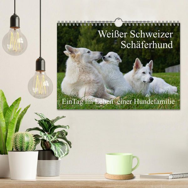 Produktbild: Wei&szlig;er Schweizer Sch&auml;ferhund - Ein Tag im Leben einer Hundefamilie (Wandkalender 2026 DIN A4 quer), CALVENDO Monatskalender