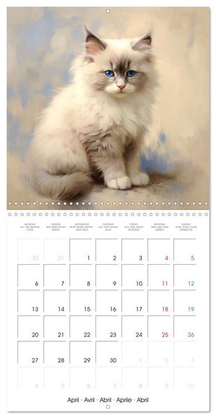 Produktbild: Illustrations Chatons (Calendrier mural carr&eacute; 2026 30x30 cm) Calendrier double avec une page pour vos prises de notes