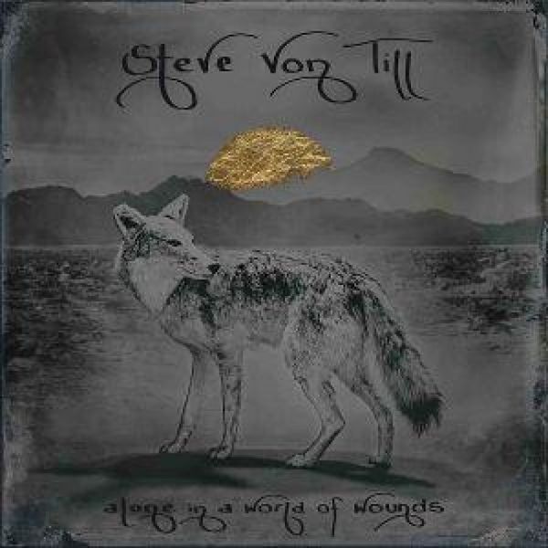 Produktbild: Alone In A World Of Wounds