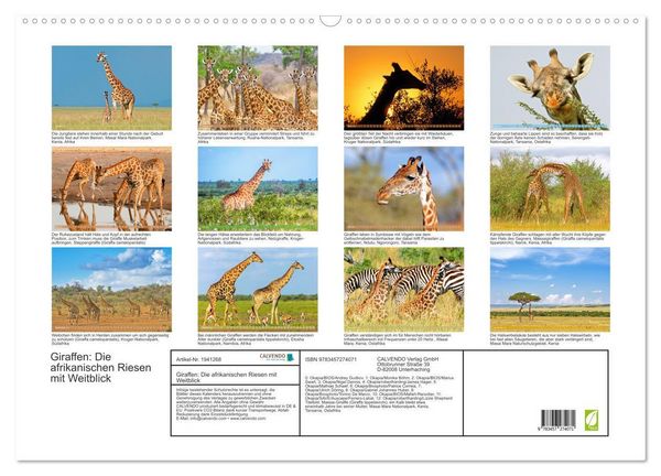 Produktbild: Giraffen: Die afrikanischen Riesen mit Weitblick (Wandkalender 2026 DIN A2 quer), CALVENDO Monatskalender