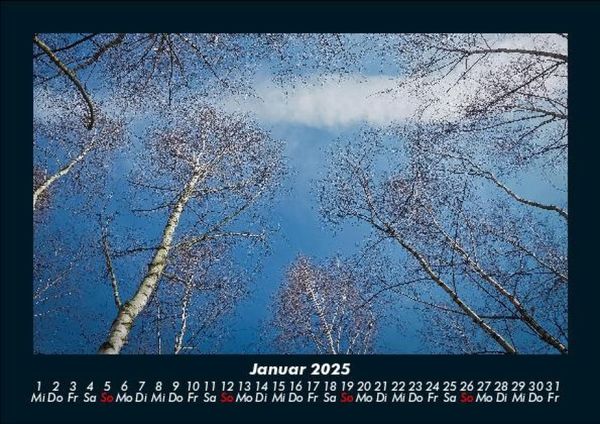 Produktbild: B&auml;ume 2025 Fotokalender DIN A5
