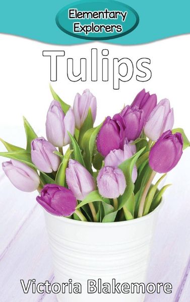 Produktbild: Tulips
