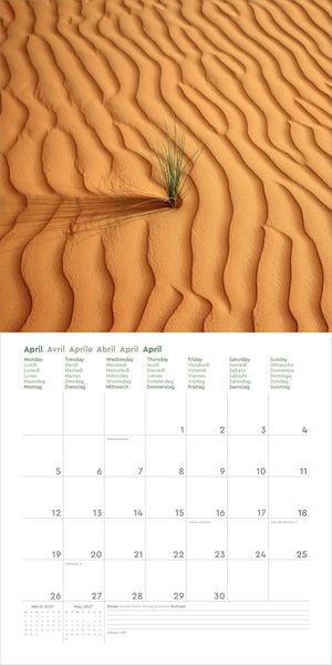 Produktbild: Wunderwerk Natur &ndash; Bizarre Strukturen - KUNTH Broschurkalender 2027