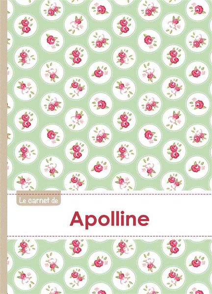 Produktbild: Le carnet d apolline lignes, 96p,