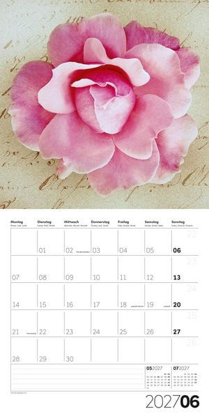 Produktbild: Die Farbe Pink Kalender 2027 - 30x30 - Art12