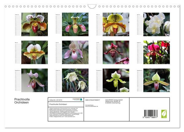 Produktbild: Prachtvolle Orchideen (Wandkalender 2026 DIN A3 quer), CALVENDO Monatskalender