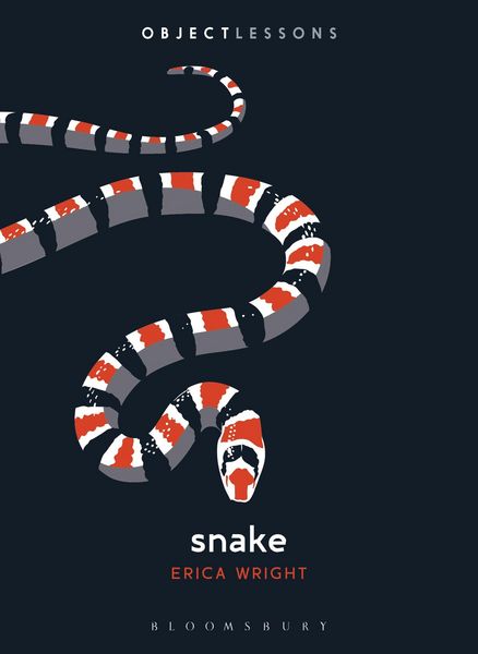 Produktbild: Snake