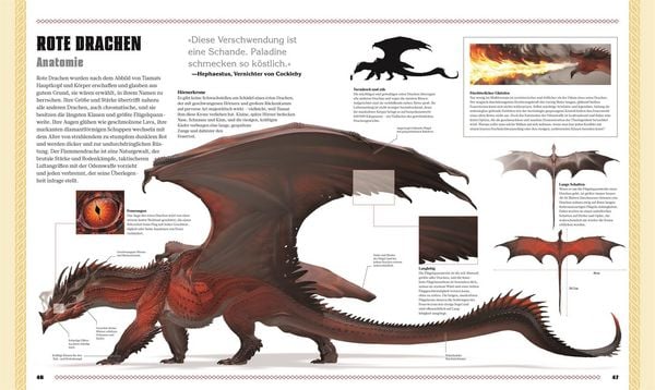 Produktbild: Dungeons & Dragons Das Buch der Drachen