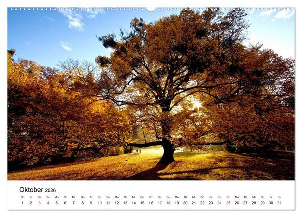 Produktbild: Wege durchs neue Jahr (hochwertiger Premium Wandkalender 2026 DIN A2 quer), Kunstdruck in Hochglanz