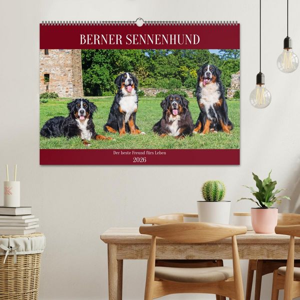 Produktbild: Berner Sennenhund - Der beste Freund f&uuml;rs Leben (Wandkalender 2026 DIN A2 quer), CALVENDO Monatskalender