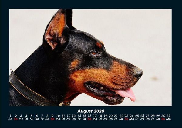 Produktbild: Hundezauber 2026 Fotokalender DIN A4
