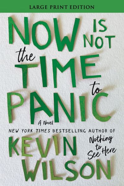 Produktbild: Now Is Not the Time to Panic
