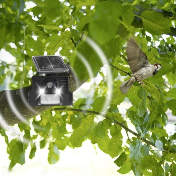 Produktbild: Gardigo Vogelvertreiber Funktionsart Solar, Ultraschall 1St.