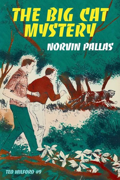 Produktbild: The Big Cat Mystery