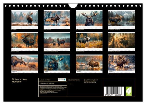 Produktbild: Elche - sch&ouml;ne Momente (Wandkalender 2026 DIN A4 quer), CALVENDO Monatskalender