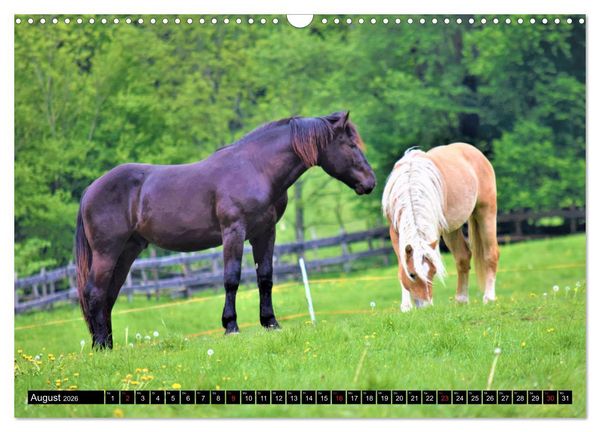 Produktbild: Pferde im Passeiertal (Wandkalender 2026 DIN A3 quer), CALVENDO Monatskalender