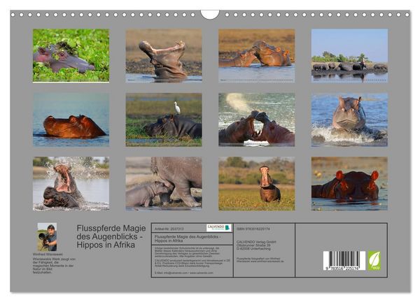 Produktbild: Flusspferde Magie des Augenblicks - Hippos in Afrika (Wandkalender 2026 DIN A3 quer), CALVENDO Monatskalender
