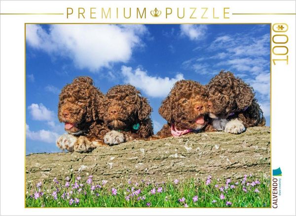 CALVENDO Puzzle Kleine Weltentdecker | 1000 Teile Lege-Größe 64 × 48 cm Foto-Puzzle für glückliche Stunden
