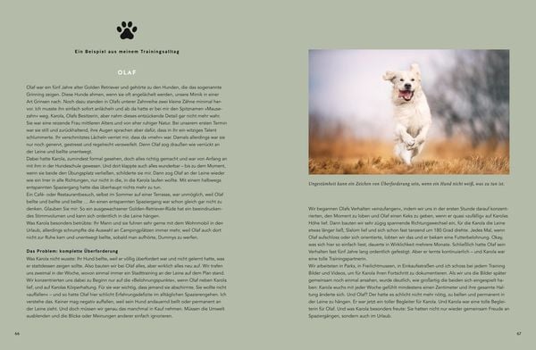 Mein Herz schlägt Hund
