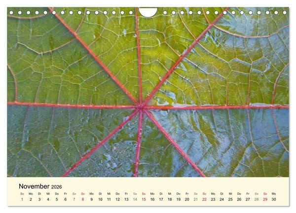 Produktbild: Kraftquelle Gr&uuml;n (Wandkalender 2026 DIN A4 quer), CALVENDO Monatskalender