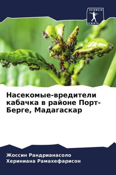 Produktbild: Nasekomye-wrediteli kabachka w rajone Port-Berge, Madagaskar