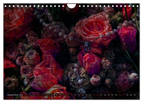 Produktbild: Gothic Rose - Rosen aus dem Garten der Finsternis (Wandkalender 2026 DIN A4 quer), CALVENDO Monatskalender