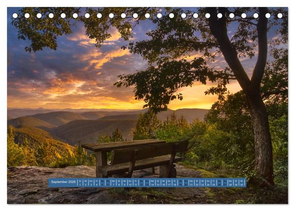 Produktbild: Magischer Pf&auml;lzer Wald (Tischkalender 2026 DIN A5 quer), CALVENDO Monatskalender