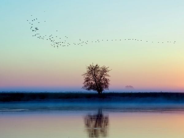 Produktbild: CALVENDO Puzzle Morgentr&auml;ume | 1000 Teile Lege-Gr&ouml;&szlig;e 64x48cm Foto-Puzzle f&uuml;r gl&uuml;ckliche Stunden