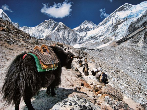 Produktbild: The Great Himalaya Trail